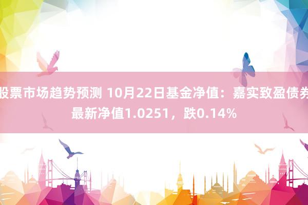 股票市场趋势预测 10月22日基金净值：嘉实致盈债券最新净值1.0251，跌0.14%