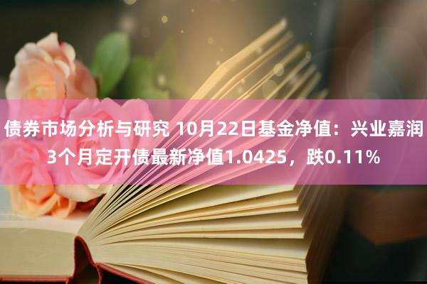 债券市场分析与研究 10月22日基金净值：兴业嘉润3个月定开债最新净值1.0425，跌0.11%