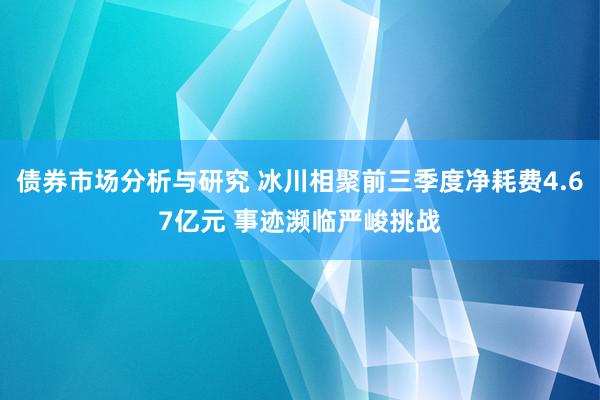 债券市场分析与研究 冰川相聚前三季度净耗费4.67亿元 事迹濒临严峻挑战