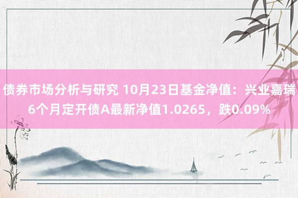 债券市场分析与研究 10月23日基金净值：兴业嘉瑞6个月定开债A最新净值1.0265，跌0.09%