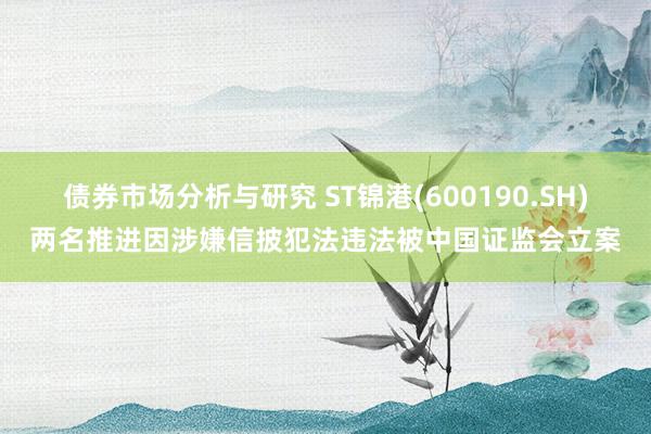 债券市场分析与研究 ST锦港(600190.SH)两名推进因涉嫌信披犯法违法被中国证监会立案