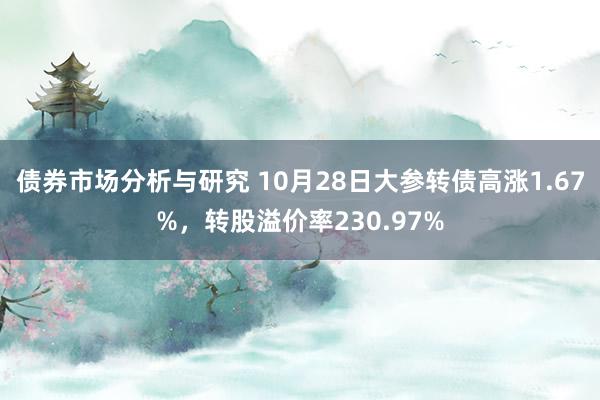 债券市场分析与研究 10月28日大参转债高涨1.67%，转股溢价率230.97%