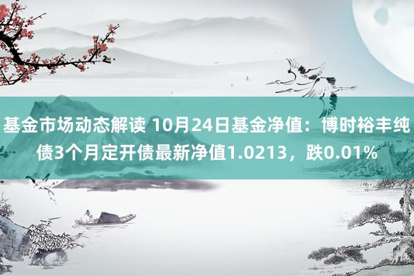 基金市场动态解读 10月24日基金净值：博时裕丰纯债3个月定开债最新净值1.0213，跌0.01%