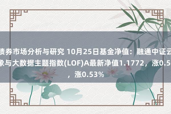 债券市场分析与研究 10月25日基金净值：融通中证云想象与大数据主题指数(LOF)A最新净值1.1772，涨0.53%