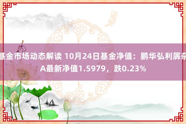 基金市场动态解读 10月24日基金净值：鹏华弘利羼杂A最新净值1.5979，跌0.23%