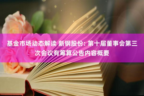 基金市场动态解读 新钢股份: 第十届董事会第三次会议有筹算公告内容概要