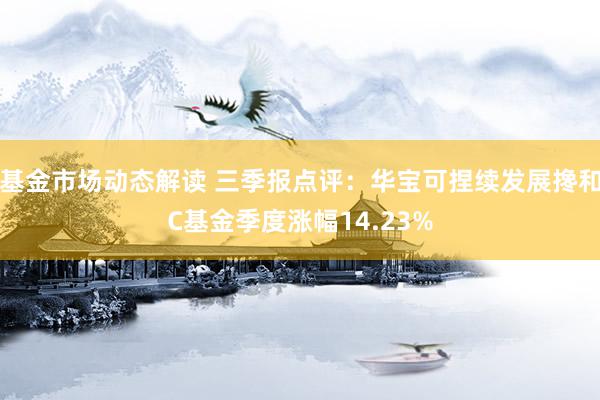 基金市场动态解读 三季报点评：华宝可捏续发展搀和C基金季度涨幅14.23%