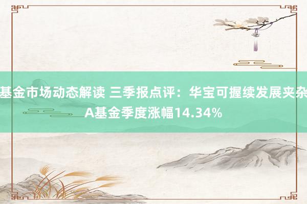 基金市场动态解读 三季报点评：华宝可握续发展夹杂A基金季度涨幅14.34%