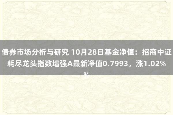 债券市场分析与研究 10月28日基金净值：招商中证耗尽龙头指数增强A最新净值0.7993，涨1.02%