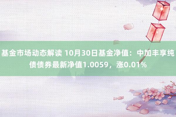 基金市场动态解读 10月30日基金净值：中加丰享纯债债券最新净值1.0059，涨0.01%