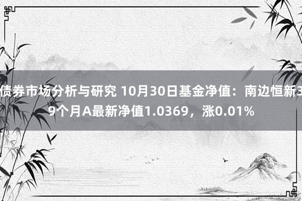 债券市场分析与研究 10月30日基金净值：南边恒新39个月A最新净值1.0369，涨0.01%