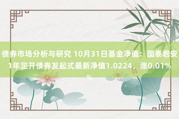 债券市场分析与研究 10月31日基金净值：国泰君安1年定开债券发起式最新净值1.0224，涨0.01%