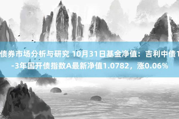 债券市场分析与研究 10月31日基金净值：吉利中债1-3年国开债指数A最新净值1.0782，涨0.06%