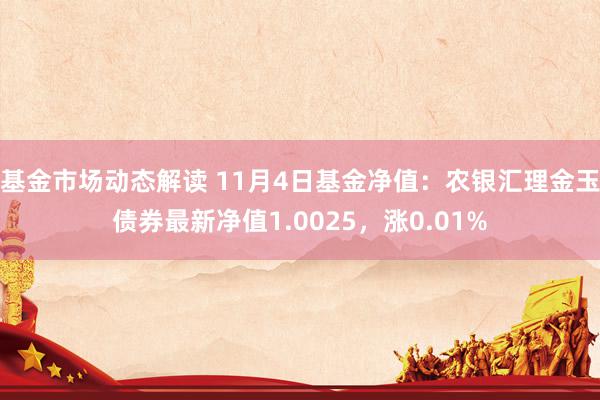 基金市场动态解读 11月4日基金净值：农银汇理金玉债券最新净值1.0025，涨0.01%