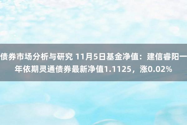 债券市场分析与研究 11月5日基金净值：建信睿阳一年依期灵通债券最新净值1.1125，涨0.02%