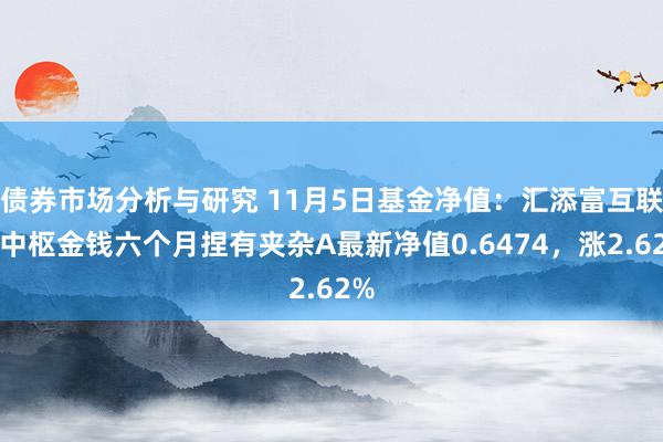 债券市场分析与研究 11月5日基金净值：汇添富互联网中枢金钱六个月捏有夹杂A最新净值0.6474，涨2.62%