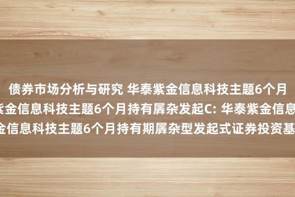 债券市场分析与研究 华泰紫金信息科技主题6个月持有羼杂发起A,华泰紫金信息科技主题6个月持有羼杂发起C: 华泰紫金信息科技主题6个月持有期羼杂型发起式证券投资基金招募说明书(更新)