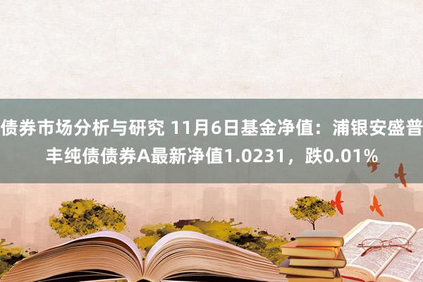 债券市场分析与研究 11月6日基金净值：浦银安盛普丰纯债债券A最新净值1.0231，跌0.01%