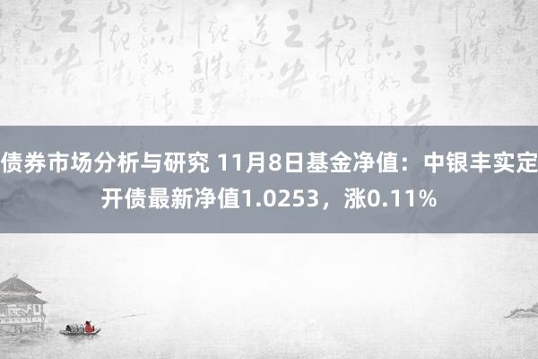 债券市场分析与研究 11月8日基金净值：中银丰实定开债最新净值1.0253，涨0.11%