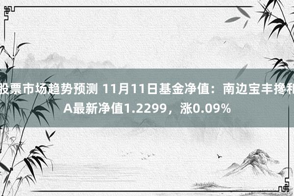 股票市场趋势预测 11月11日基金净值：南边宝丰搀和A最新净值1.2299，涨0.09%