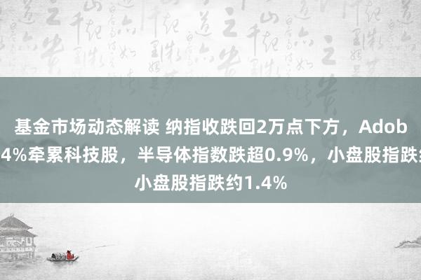 基金市场动态解读 纳指收跌回2万点下方，Adobe跌约14%牵累科技股，半导体指数跌超0.9%，小盘股指跌约1.4%