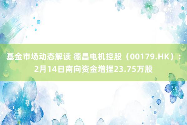 基金市场动态解读 德昌电机控股（00179.HK）：2月14日南向资金增捏23.75万股