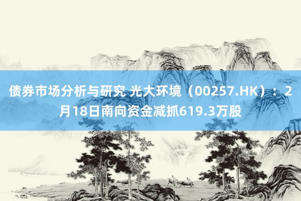 债券市场分析与研究 光大环境（00257.HK）：2月18日南向资金减抓619.3万股