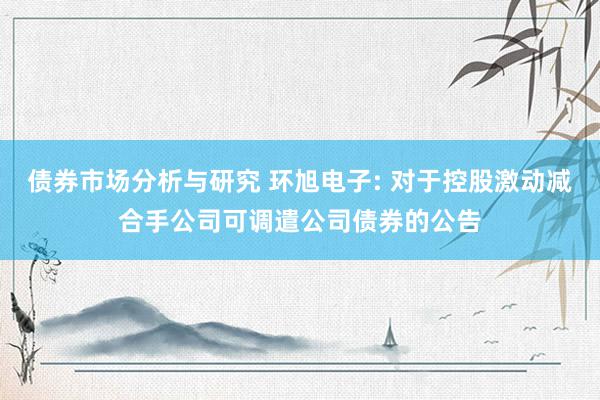 债券市场分析与研究 环旭电子: 对于控股激动减合手公司可调遣公司债券的公告