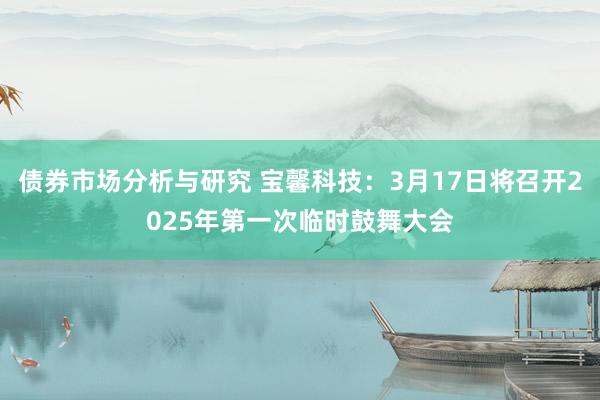 债券市场分析与研究 宝馨科技：3月17日将召开2025年第一次临时鼓舞大会