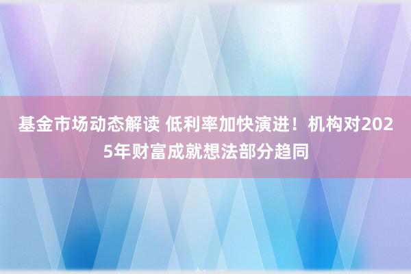 基金市场动态解读 低利率加快演进！机构对2025年财富成就想法部分趋同