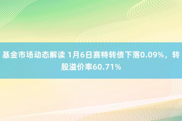 基金市场动态解读 1月6日赛特转债下落0.09%，转股溢价率60.71%