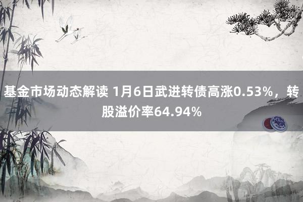 基金市场动态解读 1月6日武进转债高涨0.53%，转股溢价率64.94%