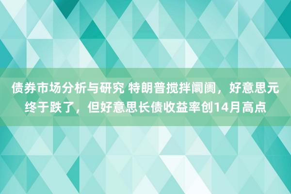 债券市场分析与研究 特朗普搅拌阛阓，好意思元终于跌了，但好意思长债收益率创14月高点