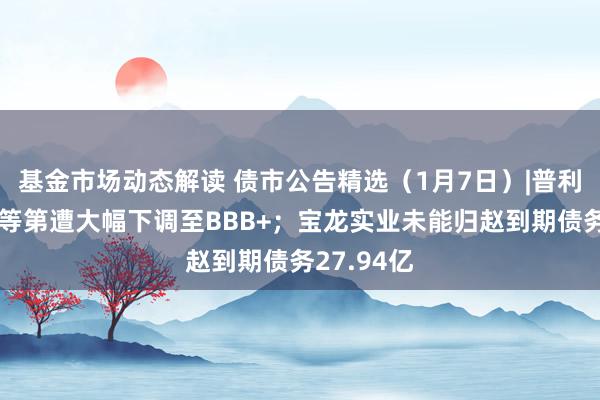 基金市场动态解读 债市公告精选（1月7日）|普利转债信用等第遭大幅下调至BBB+；宝龙实业未能归赵到期债务27.94亿