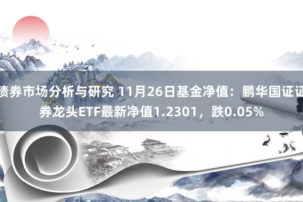 债券市场分析与研究 11月26日基金净值：鹏华国证证券龙头ETF最新净值1.2301，跌0.05%